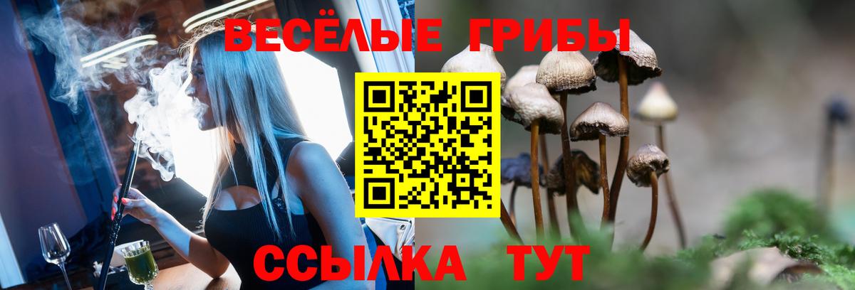 купить наркоту  Псилоцибиновые грибы Psilocybe  Вход с VPN  Видное 